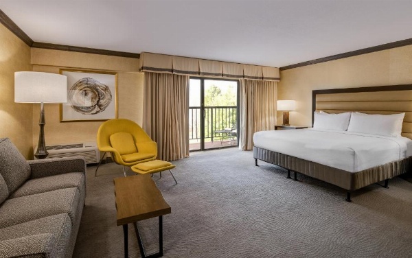Crowne Plaza Resort Asheville by IHG image 17