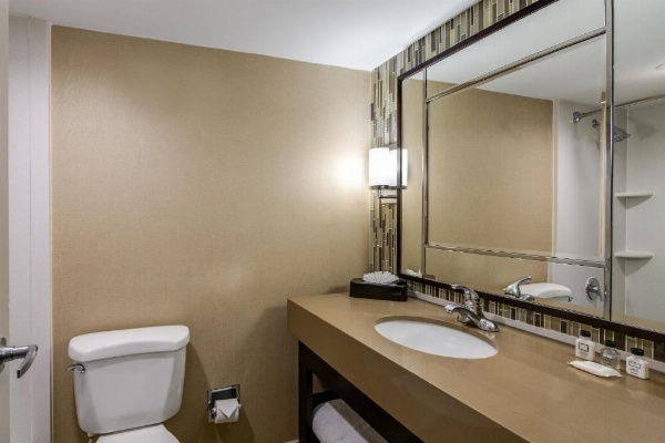 Crowne Plaza Resort Asheville by IHG image 53